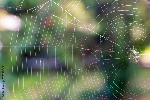Close up part of white spiderweb hanging outdoors for natural background
