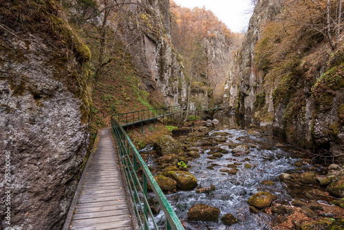 Bridge for hikers in the gorge of the Devinska River in Bulgaria.