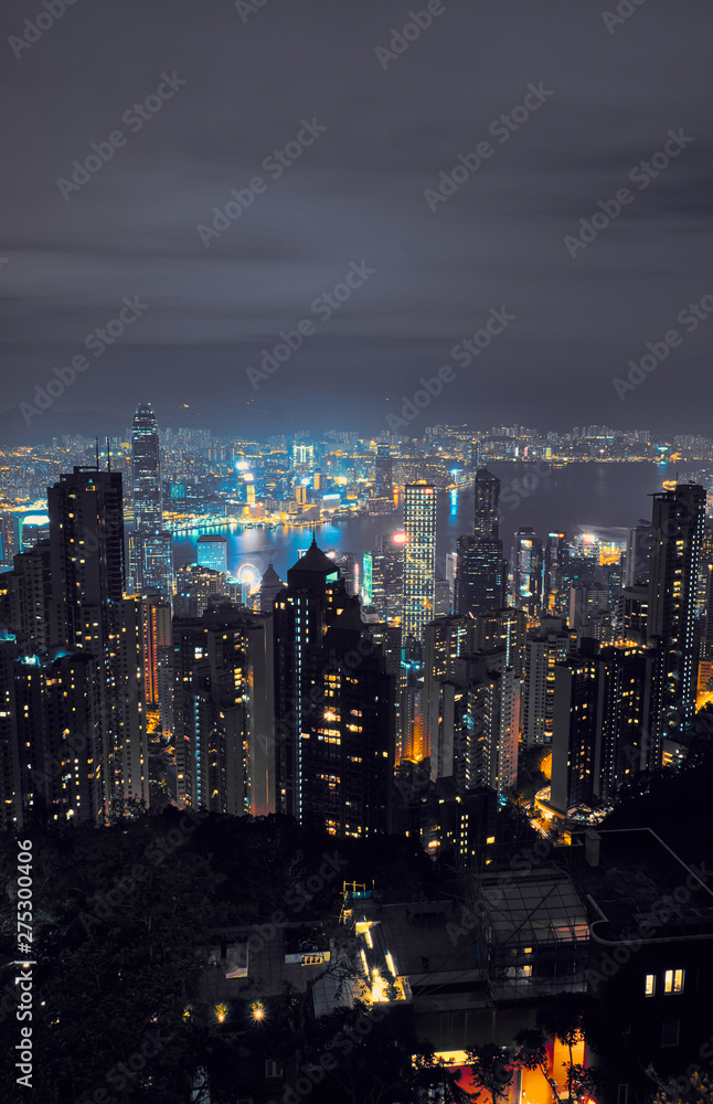 Fototapeta premium View of Hong Kong and Victoria Harbour