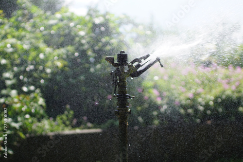 Sprinkler head watering in green park
