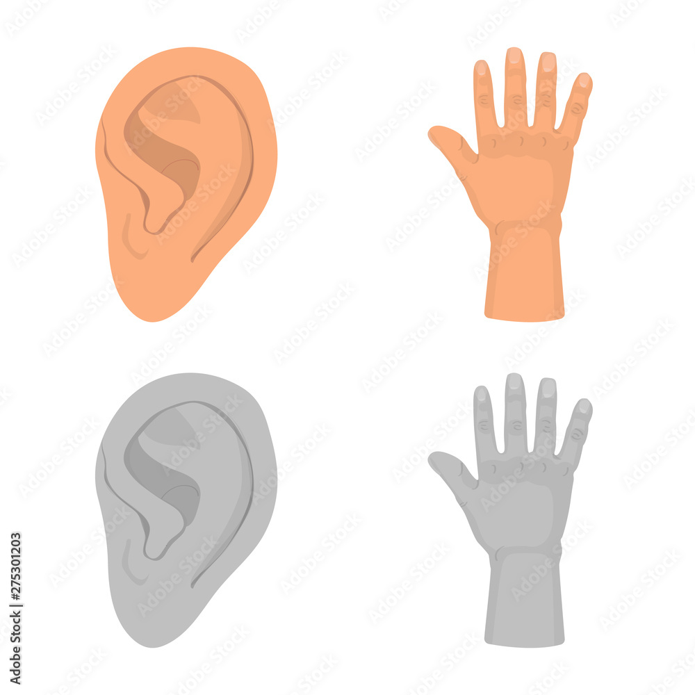 Obraz premium Vector illustration of body and part symbol. Set of body and anatomy vector icon for stock.
