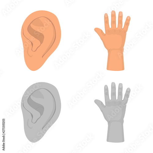 Vector illustration of body and part symbol. Set of body and anatomy vector icon for stock.