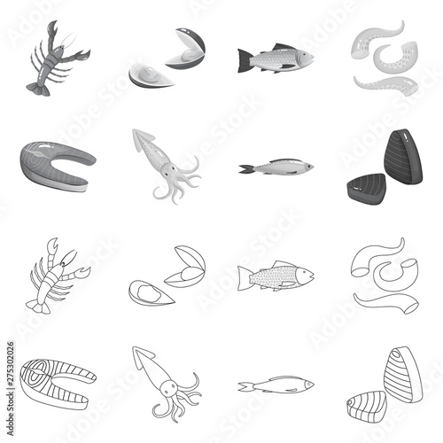 Isolated object of fresh and restaurant icon. Set of fresh and marine stock vector illustration.