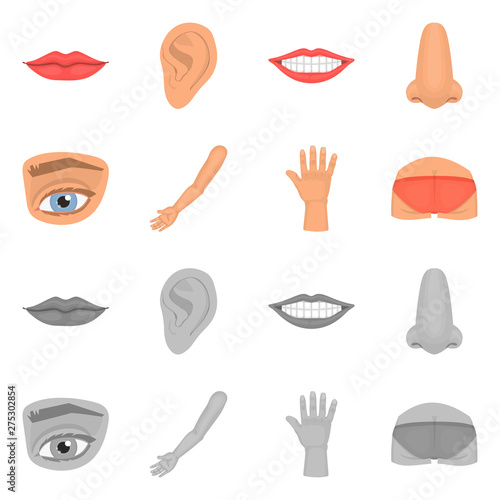 Vector illustration of body and part icon. Set of body and anatomy vector icon for stock.