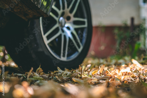 Dry and frail leaves on the ground with a black car tire in background with chrome rim – Sport vehicle wheel on asphalt covered with autumn dead plants