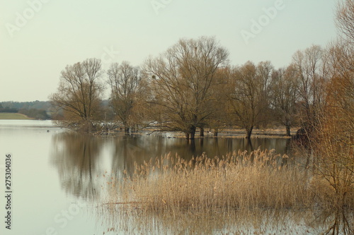 Miroir