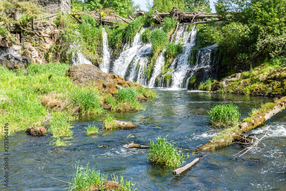 Fototapeta premium Downstream From Waterfall 7
