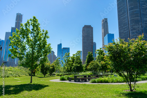 Green Park in the Streeterville Neighborhood of Chicago with Downtown Buildings