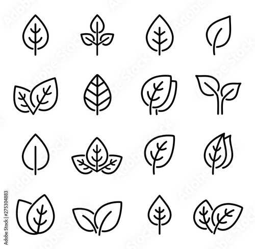 Fototapeta set of line leaf icons