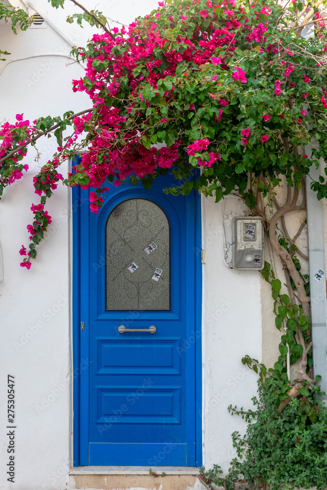 Blue door white background with pink flower