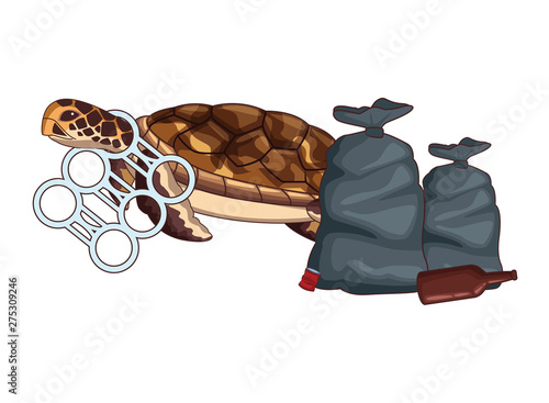 turtle stuck with a sixpack plastic rings