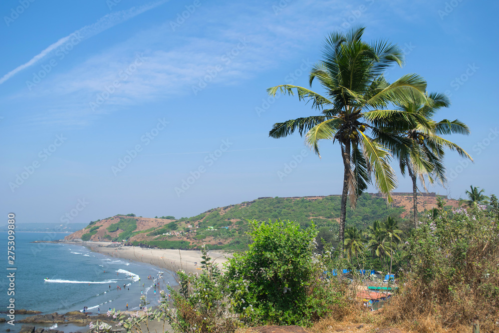 High view landscape with blue sky, sea, green palms at goa beach, coast line background