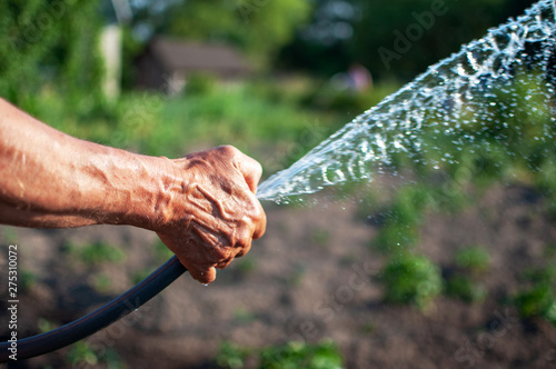 watering the garden with a hose