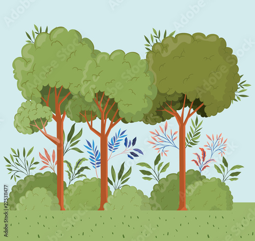 trees and leafs with bush landscape scene