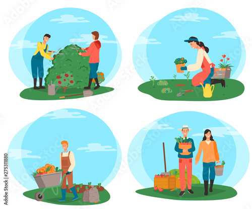 Man and woman with vegetables vector, harvesting people with basket veggies, gardeners cutting bushes, person with pumpkins in carriage, flowers plantation