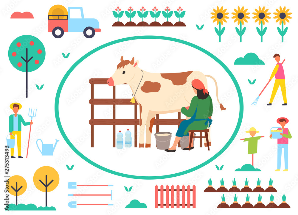 Obraz premium Farming people vector, woman with cow and bucket with organic liquid, milkmaid and scarecrow, trees with ripe fruits, sunflower plantation, tractor