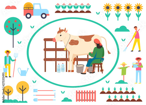 Farming people vector, woman with cow and bucket with organic liquid, milkmaid and scarecrow, trees with ripe fruits, sunflower plantation, tractor