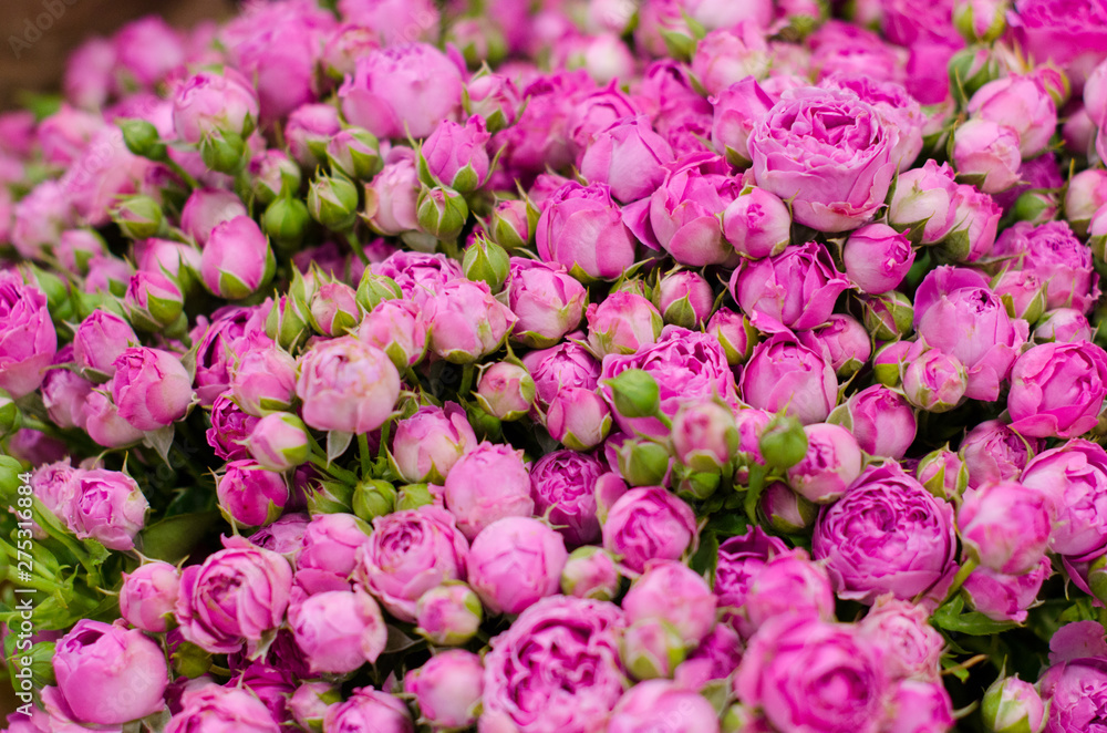 Small pink roses bouquet close up. Beautiful flowers. Small pink roses bouquet close up. Beautiful flowers.