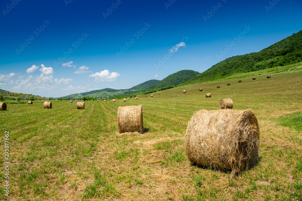 bales of hay in field