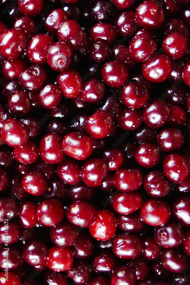 Close up of ripe cherries with water drops, copy space. Red cherries background. Food concept Close up of ripe cherries with water drops, copy space. Red cherries background. Food concept