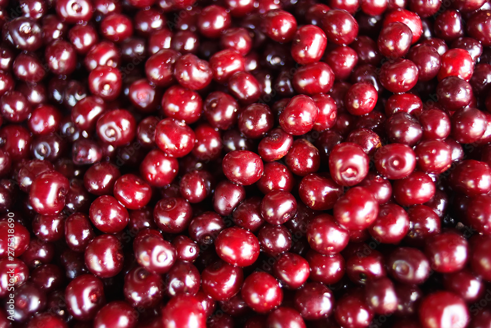 Close up of ripe cherries with water drops, copy space. Red cherries background. Food concept Close up of ripe cherries with water drops, copy space. Red cherries background. Food concept
