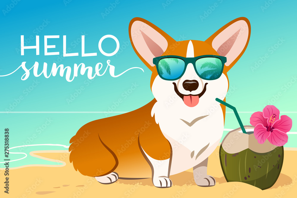 Corgi dog wearing reflective sunglasses on a sandy beach ocean in