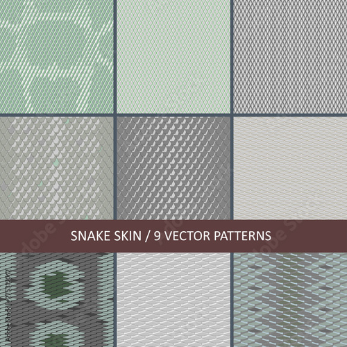 collection of vector seamless snake skin textures