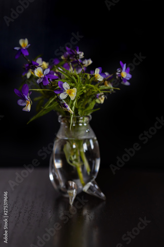 Wild flowers of "Forget-me-not" of lilac color in a glass vase on a black background. Soft focus. Easy блюр. Macro.