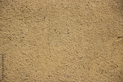 Wallpaper Mural Beige painted grunge wall rough texture Torontodigital.ca