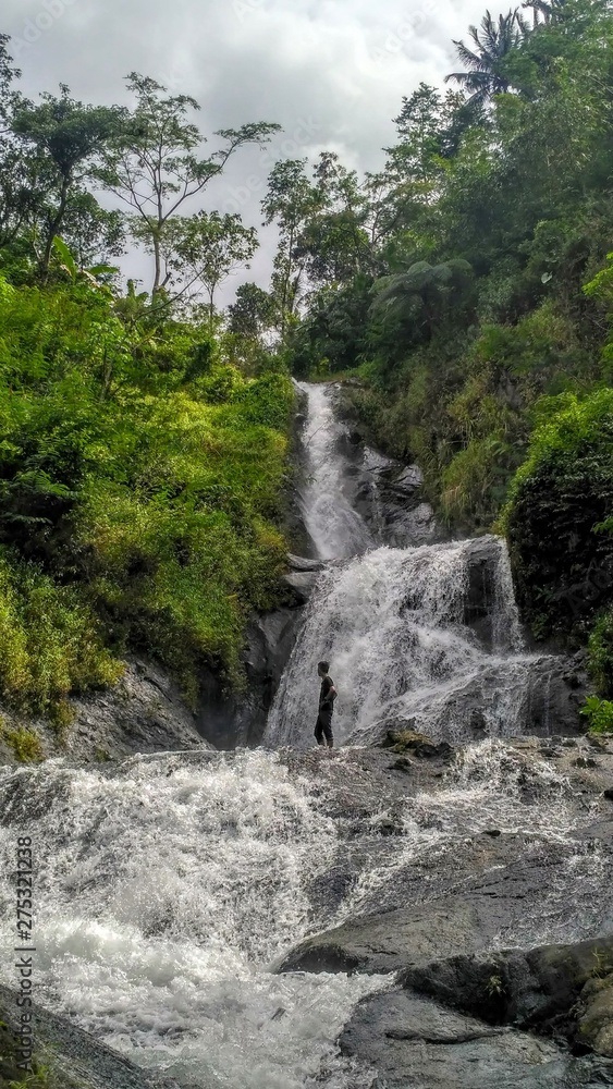 Obraz premium waterfall in the forest