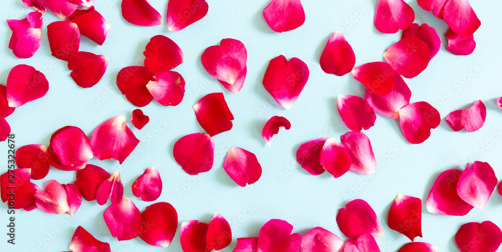Creative arrangement of red flowers and leaves on pastel blue background wiyh paper card note. Blooming rose concept. Flat lay. Minimal nature. Creative arrangement of red flowers and leaves on pastel blue background wiyh paper card note. Blooming rose concept. Flat lay. Minimal nature.