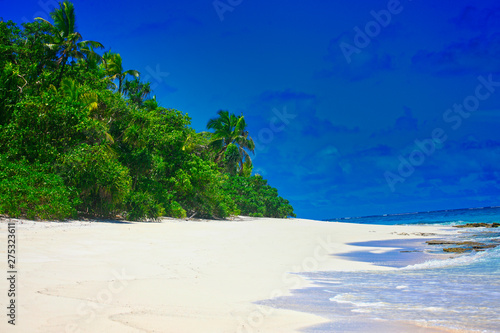 Fototapeta Naklejka Na Ścianę i Meble -  Tropical Island with a paradise beach and palm trees