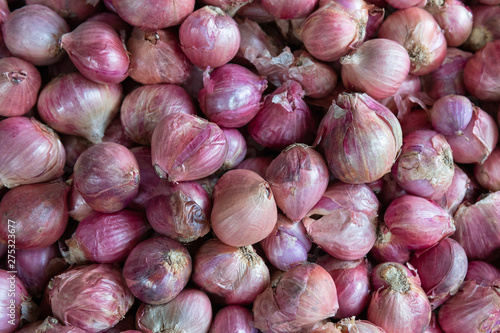 Shallots ,French grey challot or griselle