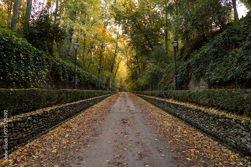 Forest of the Alhambra in Autumn, a special place in Granada (Spain)