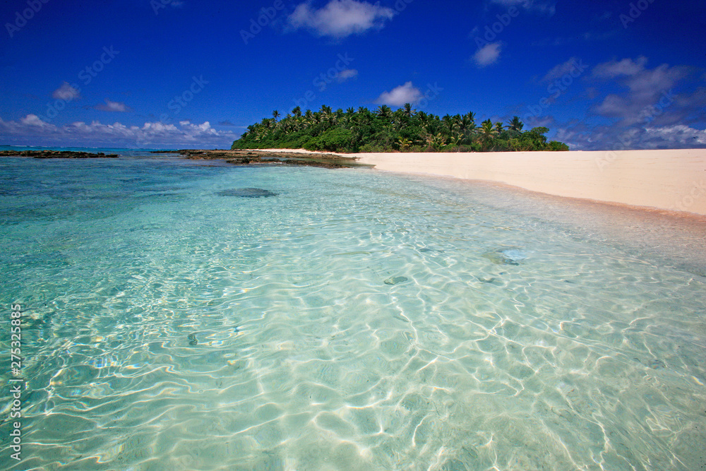 Fototapeta premium Tropical Island with a paradise beach and palm trees
