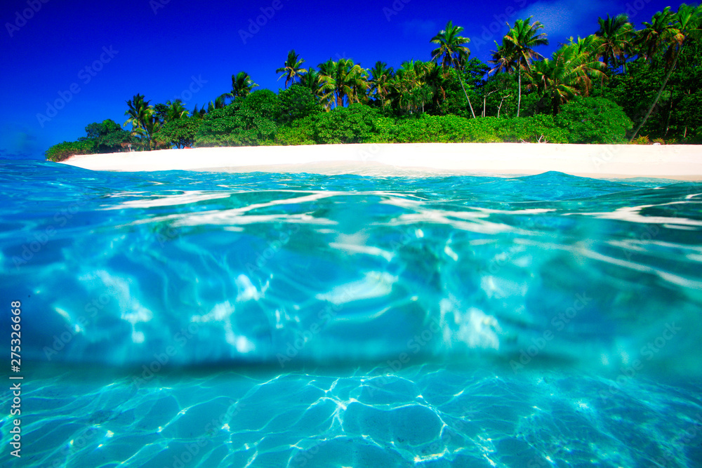 Fototapeta premium Tropical Island with a paradise beach and palm trees