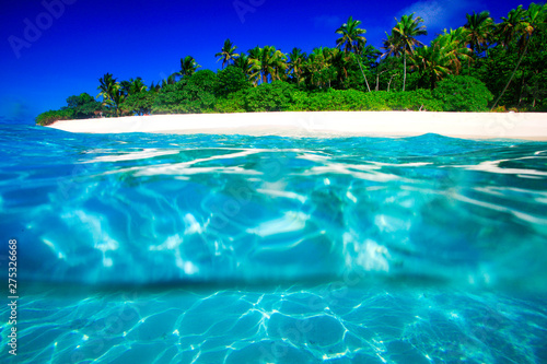 Tropical Island with a paradise beach and palm trees © Marc Stephan