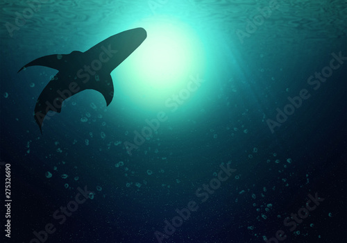 The silhouettes of shark swim at the level of the ocean. The dark deep ocean illuminates the sun