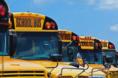 Yellow school buses parked diagonally