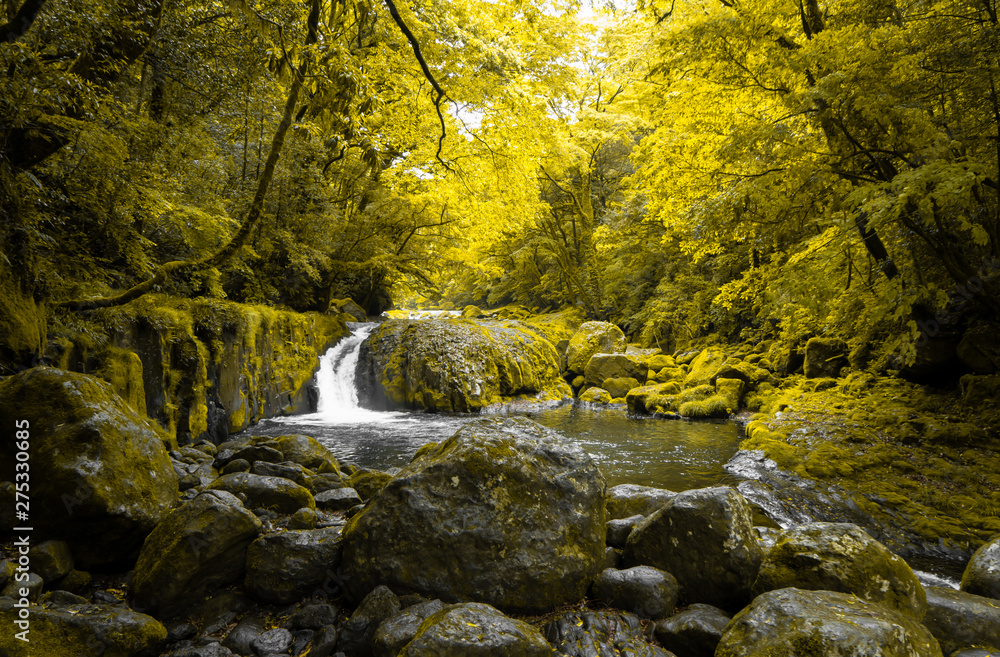 Yellow Forest Waterfall In Japan Yellow Forest Waterfall In Japan
