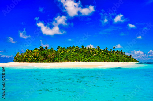 tropical island with palm trees and sea © Marc Stephan