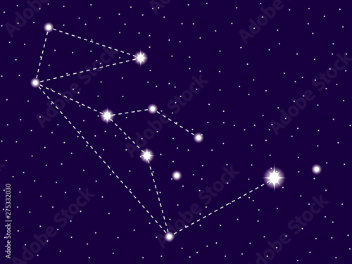 Lupus constellation. Starry night sky. Vector illustration
