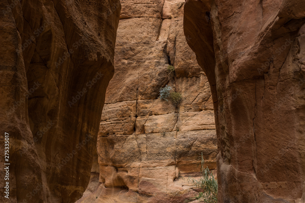 canyon rocky walls scenic natural background landscape canyon rocky walls scenic natural background landscape