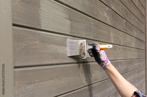 Woman worker painting wooden house exterior wall with paintbrush and wood protective color