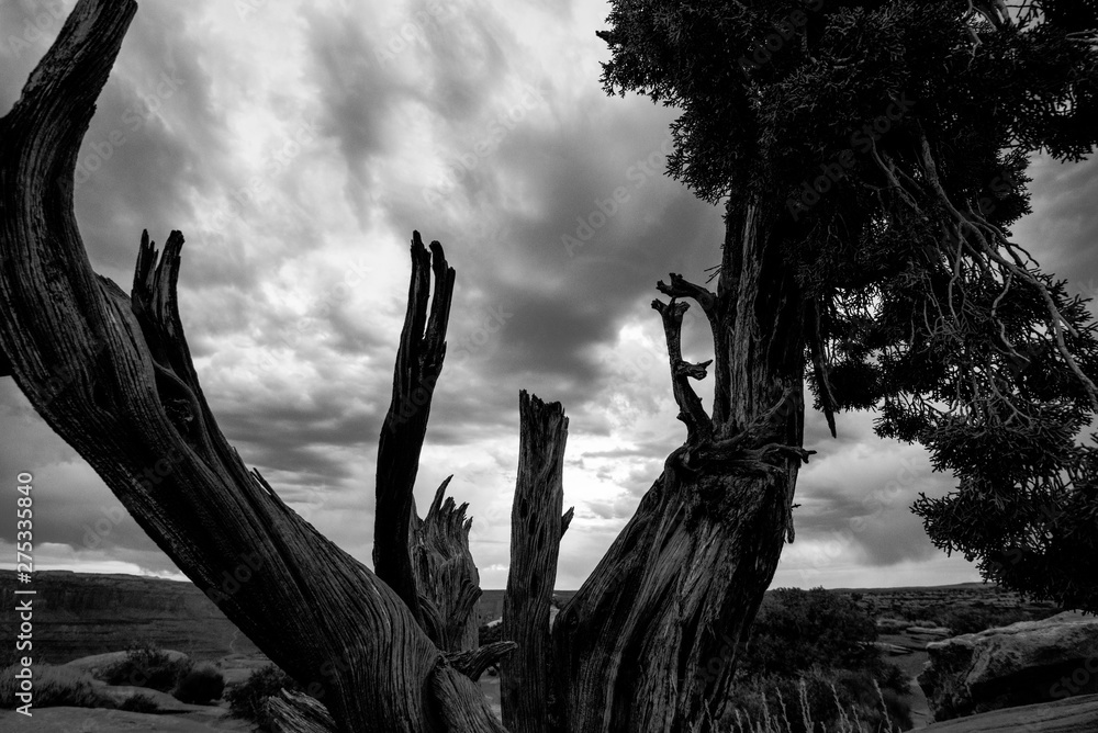 Dead Horse Point stormy sky