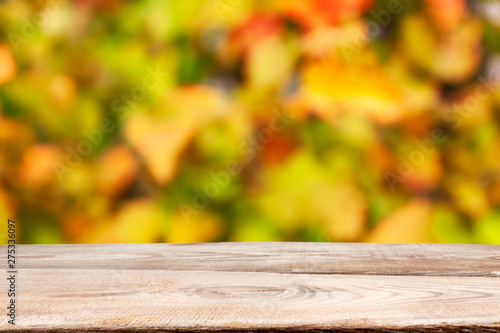 Autumn theme. Wooden planks on the background of autumn trees.