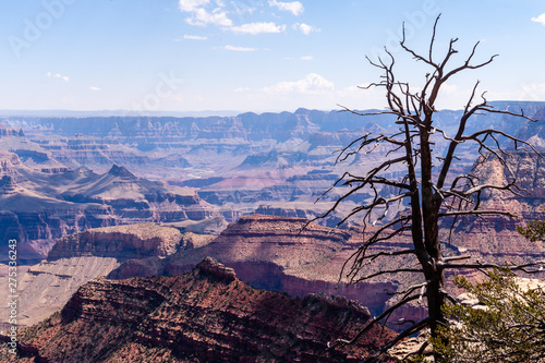 Outlook from the Grandview Point over the Grand Canyon. Summer afteroon impression
