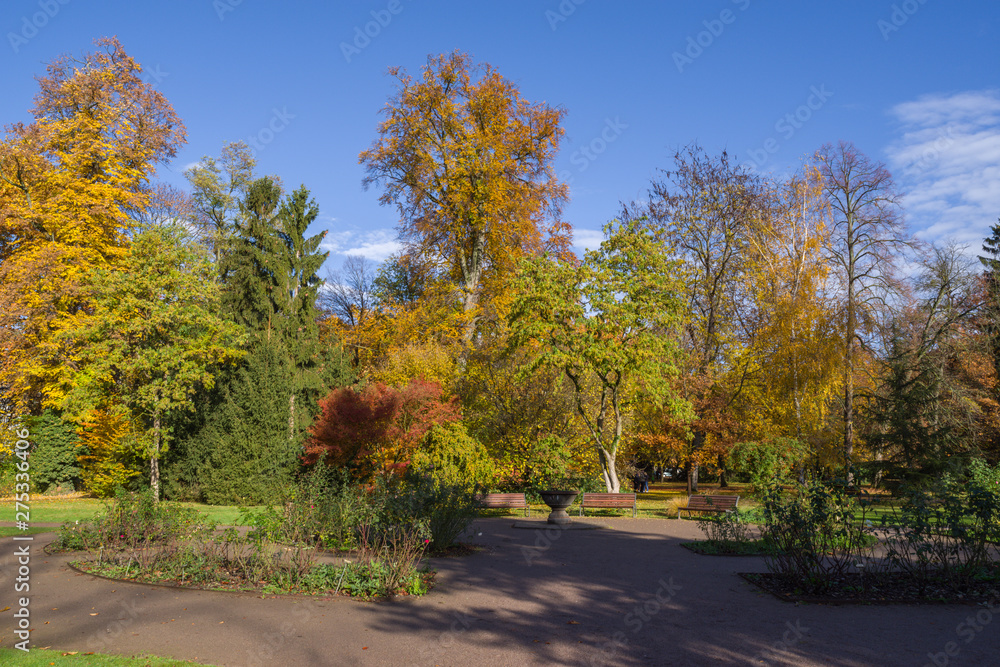 Obraz premium Strasbourg 010