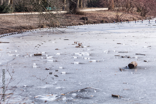 Uferbereich eines eingefrorenen See im Tiergarten Berlin