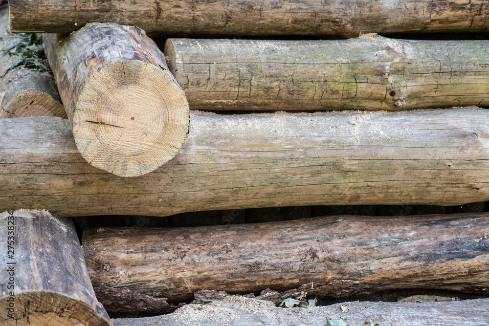 the wall of the log house, the wall of logs. the wall of the log house, the wall of logs.